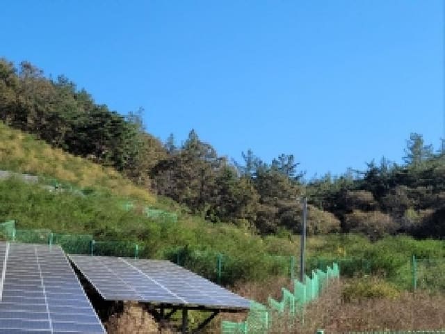 B000513202501300521231.jpg