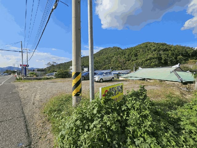 B000513202501300521511.jpg