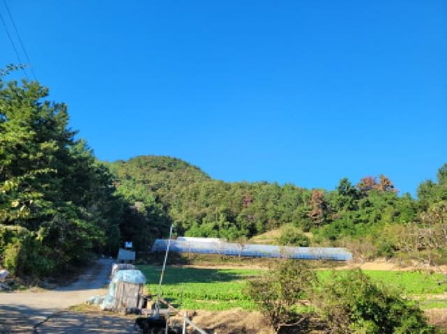 B000513202501300521663.jpg
