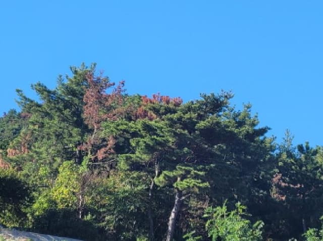 B000513202501300521661.jpg