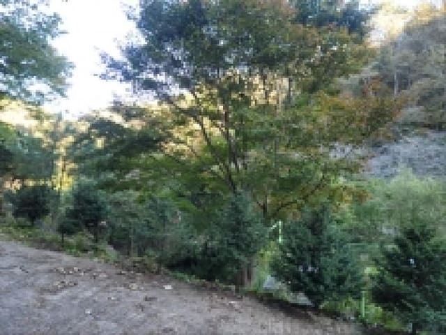 B000513202501300521681.jpg