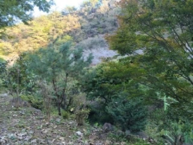 B000513202501300521682.jpg