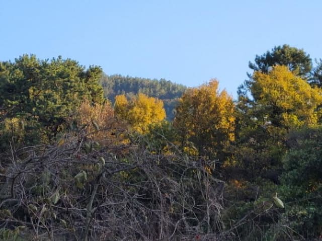 B000513202501300522061.jpg