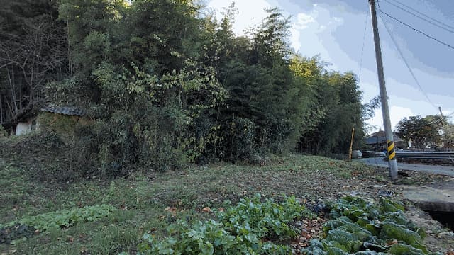 B000513202501300522104.jpg