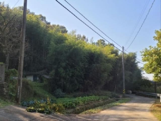 B000513202501300522103.jpg