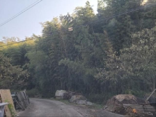 B000513202501300522101.jpg
