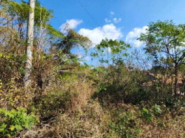 B000513202501300522322.jpg