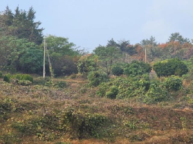 B000513202501300522483.jpg