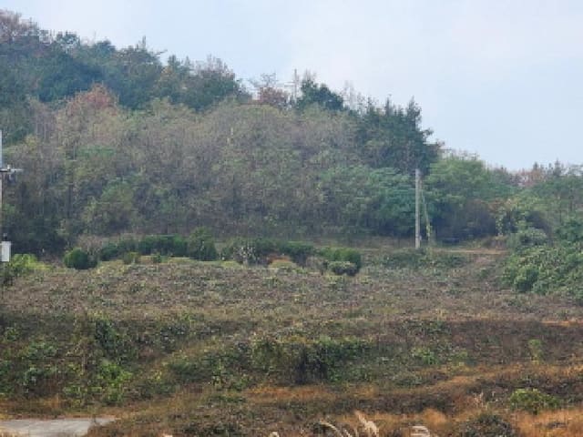 B000513202501300522481.jpg