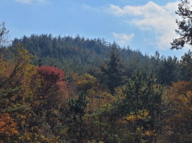 B000513202501300522542.jpg