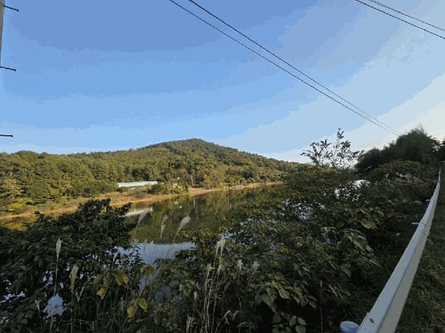 B000513202501300522934.jpg