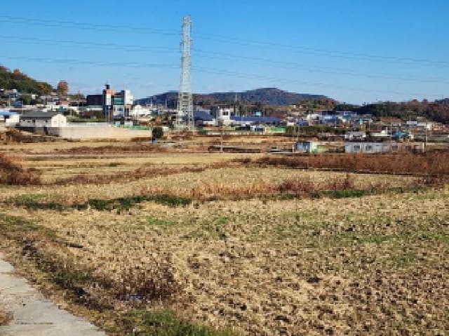 B000513202501300523122.jpg