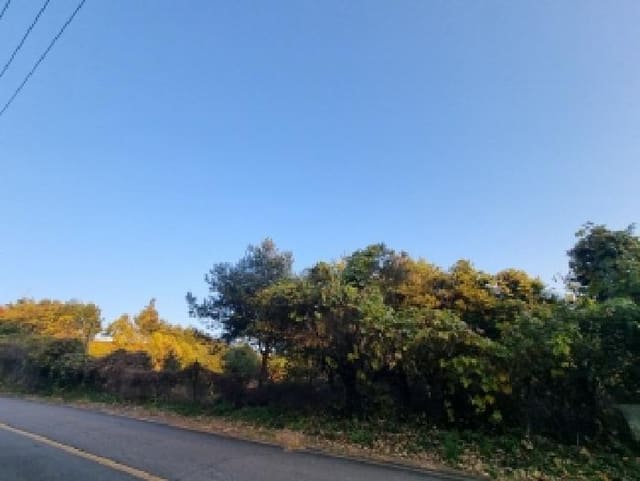 B000513202501300523222.jpg