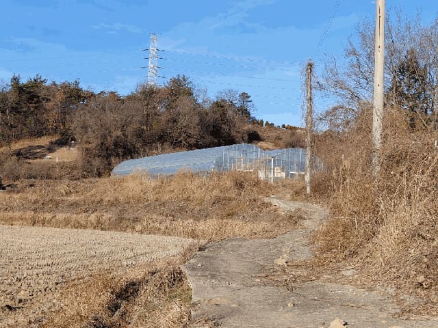 B000513202501300523344.jpg