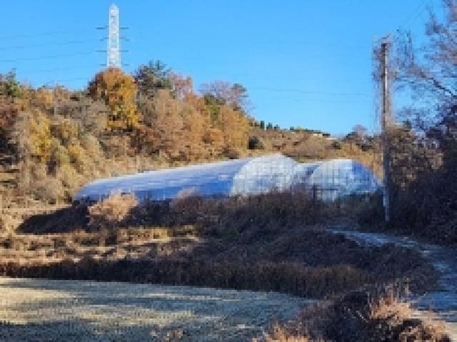 B000513202501300523341.jpg