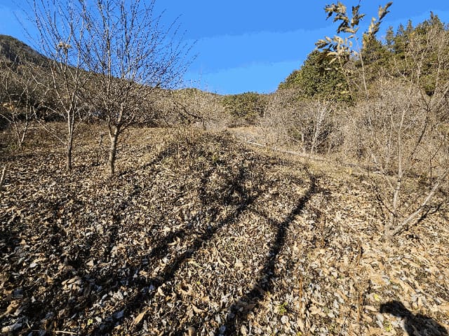 B000513202501300523566.jpg