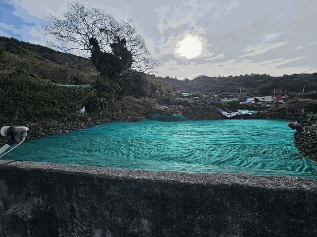 B0005132025013005237817.jpg