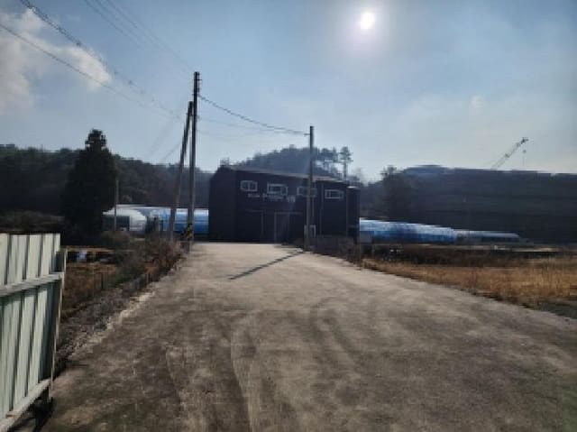 B000513202501300523881.jpg
