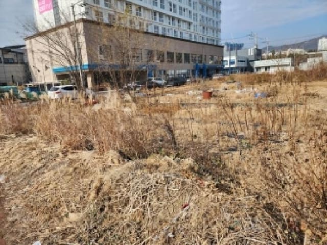 B000513202501300524023.jpg