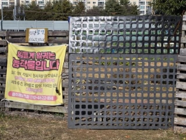 B000513202501300524062.jpg