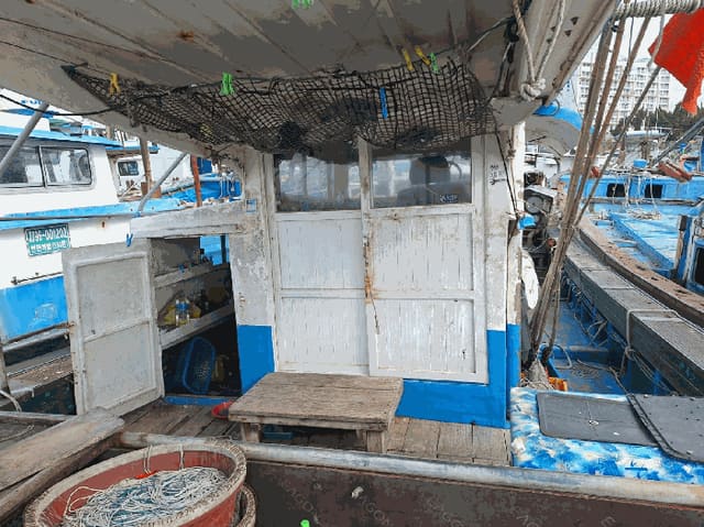 B000513202501300524076.jpg