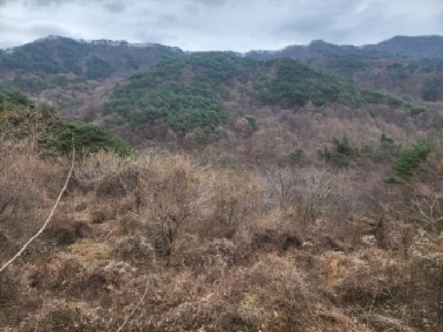 B000513202501300524103.jpg