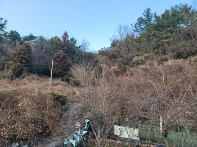 B000513202501300524133.jpg