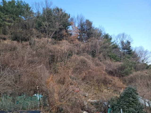 B000513202501300524134.jpg