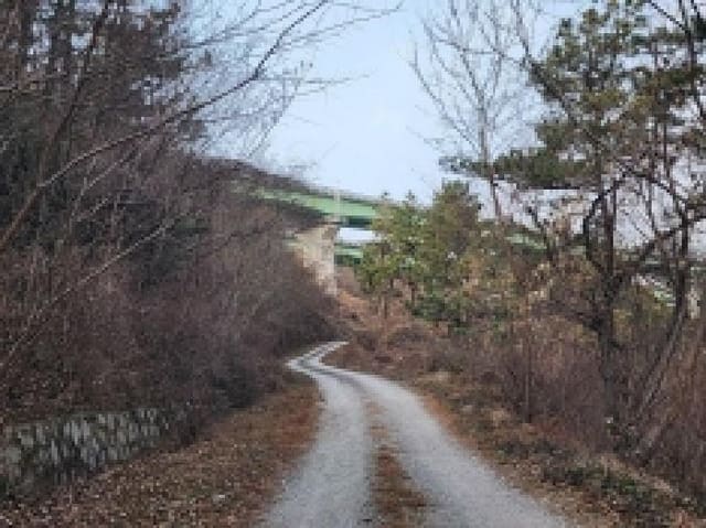 B000513202501300524184.jpg