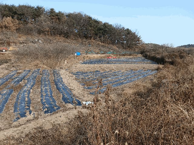B000513202501300524354.jpg
