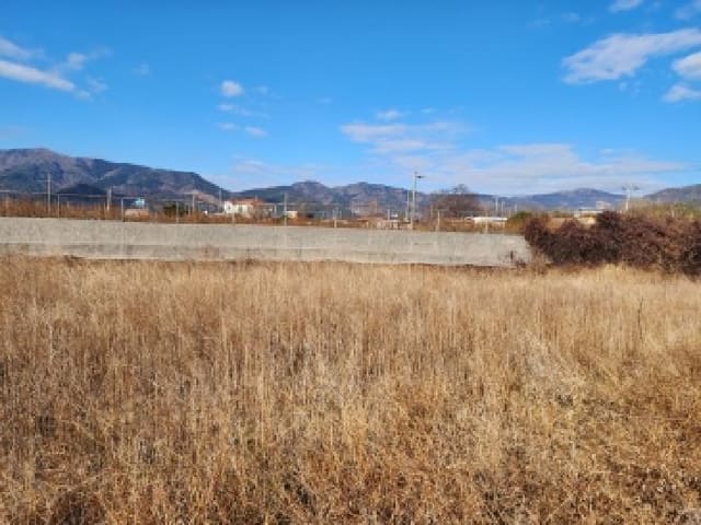B000513202501300524544.jpg