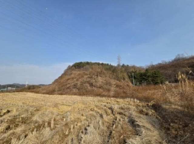 B000513202501300524852.jpg
