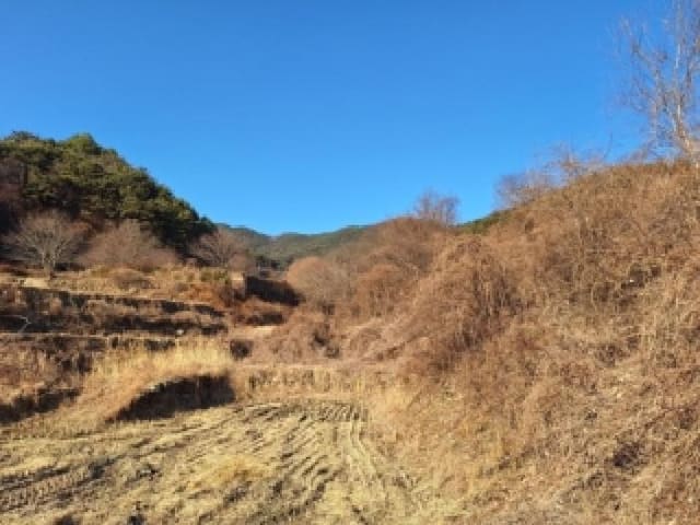 B000513202501300524892.jpg