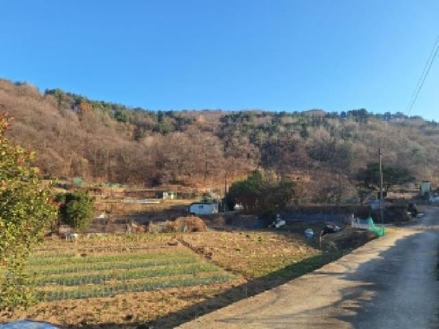 B000513202501300525431.jpg