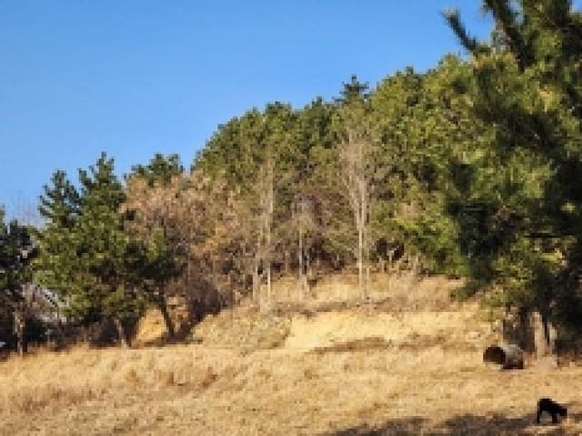 B000513202601300000053.jpg