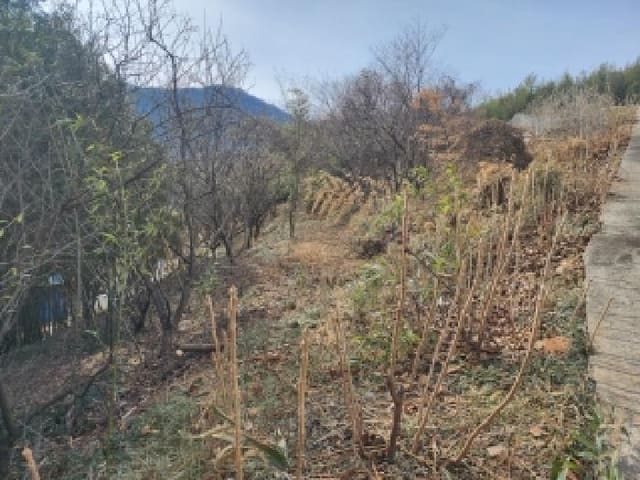 B000513202601300000093.jpg
