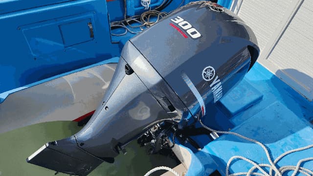B000513202601300000164.jpg