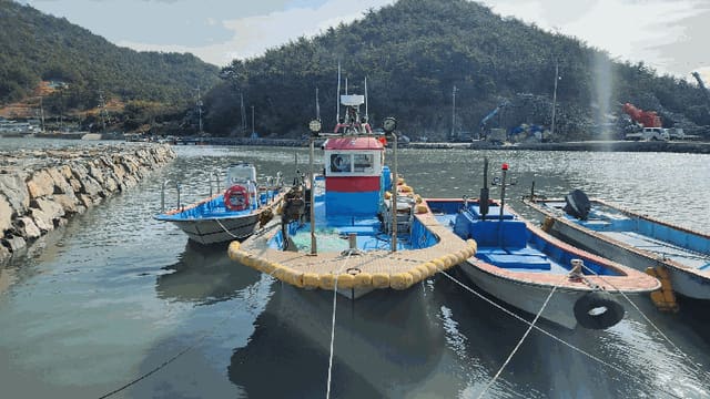B000513202601300000161.jpg