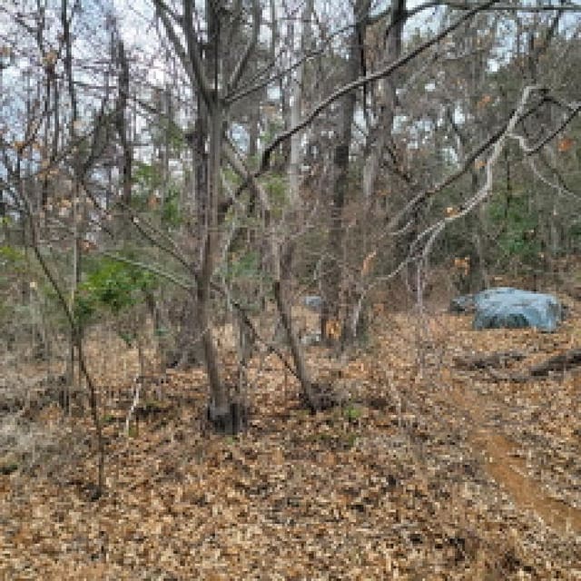 B000513202601300000414.jpg