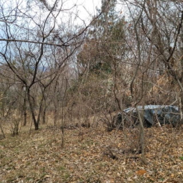 B000513202601300000413.jpg