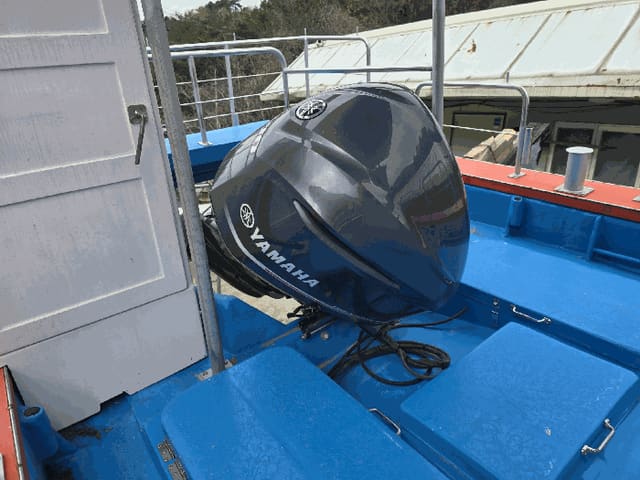 B000513202601300000463.jpg