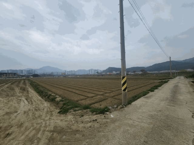 B000513202601300000774.jpg