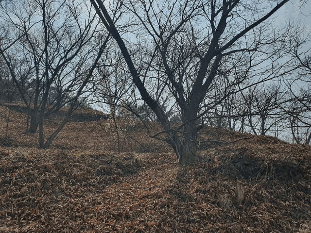 B0005132026013000008437.jpg