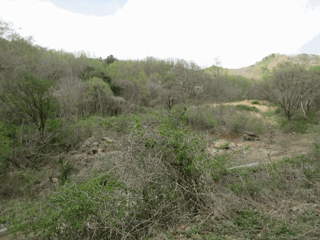 B000513202601300001053.jpg