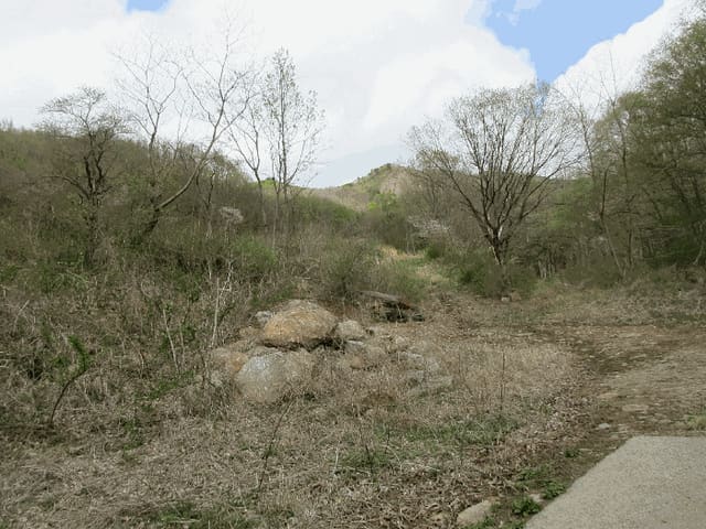 B000513202601300001054.jpg