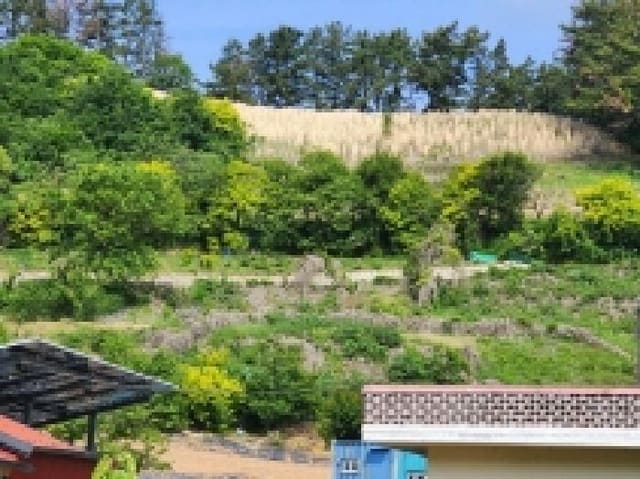 B000513202601300001344.jpg