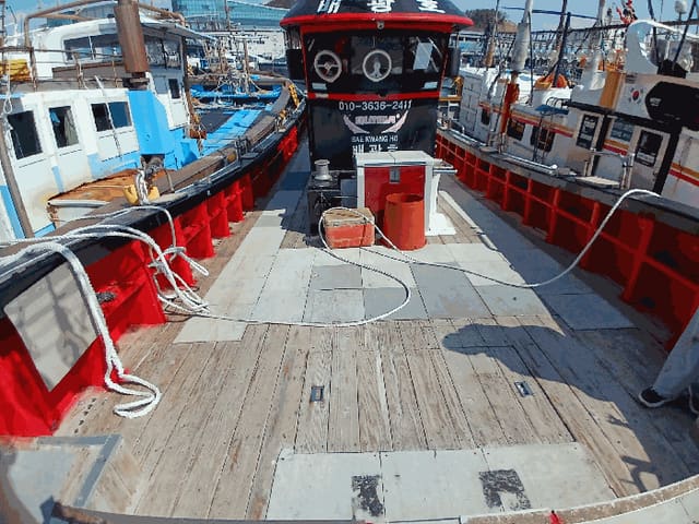 B000513202601300500203.jpg