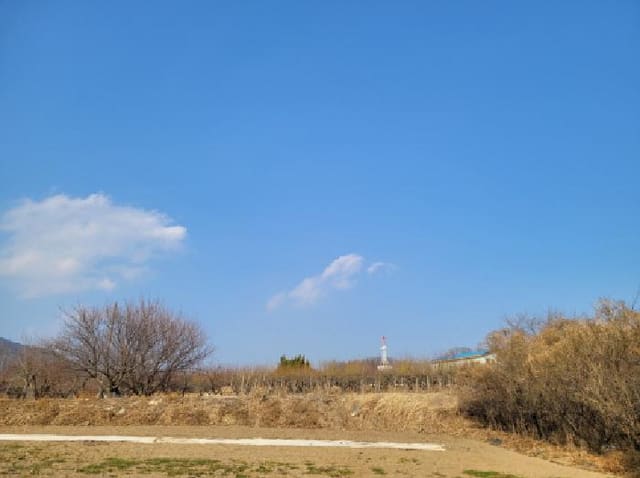 B000513202601300500313.jpg