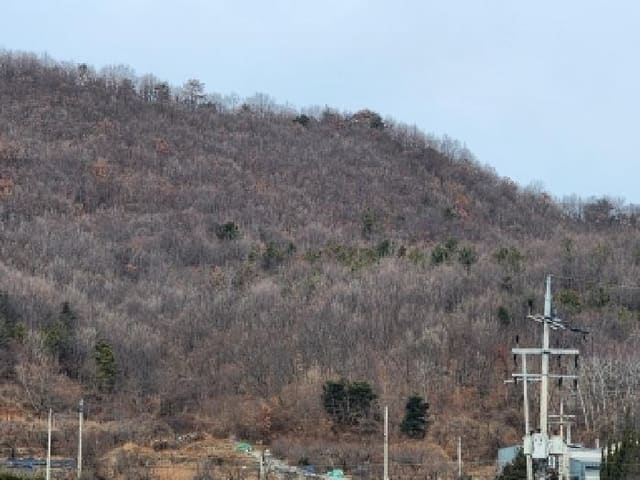B000513202601300500761.jpg