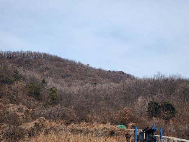 B000513202601300500762.jpg